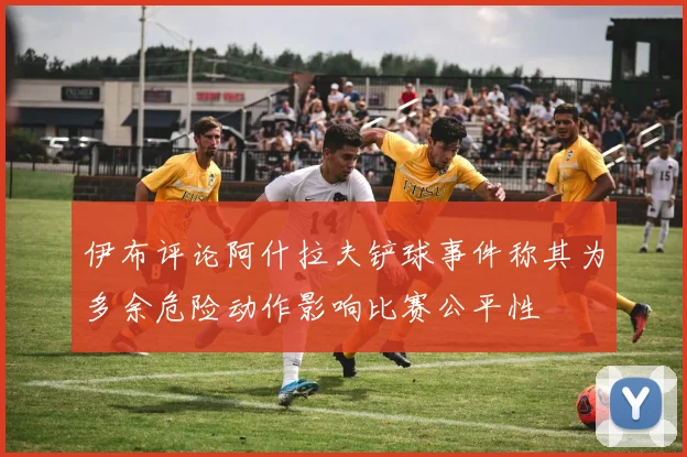 伊布评论阿什拉夫铲球事件称其为多余危险动作影响比赛公平性